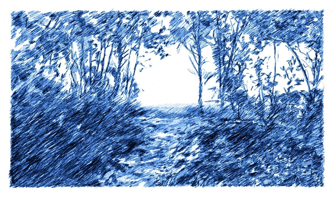 Hand-drawn picture of a path and forest leading to a clearing